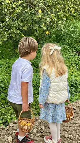 Bio4EU packaging & product design Bio4EU-packaging-product-design