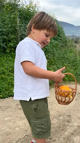 Bio4EU-packaging-product-design